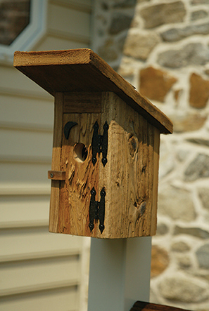 blue bird house